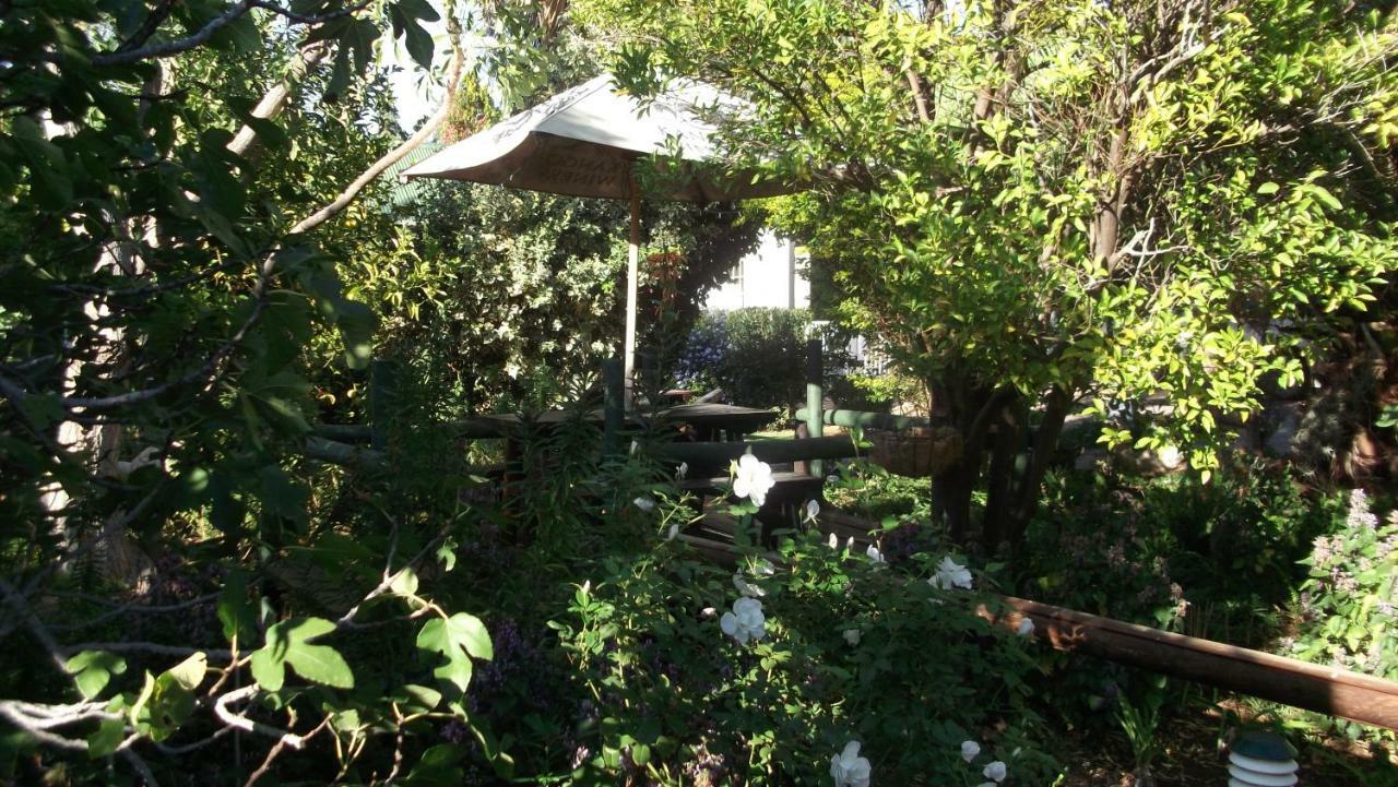 Housemartin Lodge & Self Catering De Rust Ngoại thất bức ảnh
